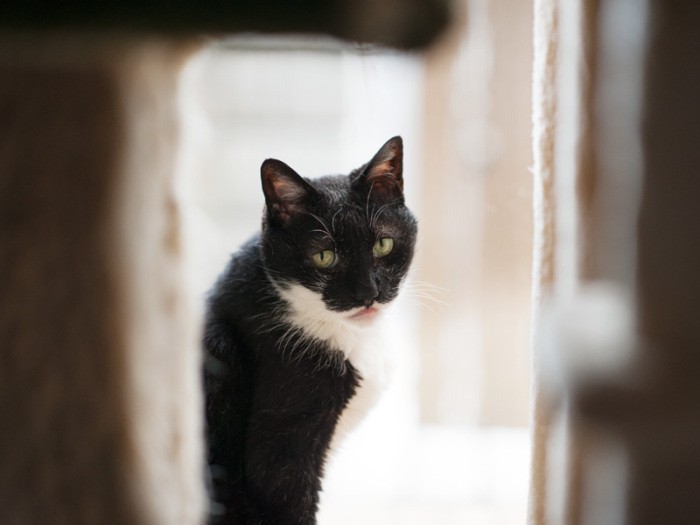 「僕はチビ丸っていうんだ」（小林写函撮影）