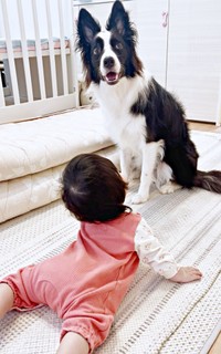 ハイハイしながらエマちゃんを見上げる次女（画像提供：エマ:Emmaさん）