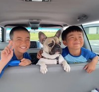 仲良し三兄弟♡（提供：＠frenchbulldog_elさん）