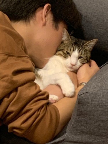 “猫吸い”中の長男（うえみさん提供）