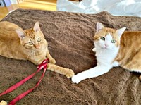 まるで本当の兄弟ーー仲良くなった（左から）ポーチくん、若林くん（画像提供：たいしおさん）