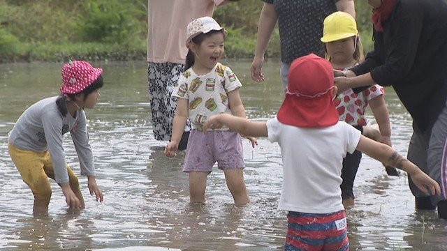 大人も子どもも泥まみれ！使われなくなった田んぼで泥遊び　香川・三豊市