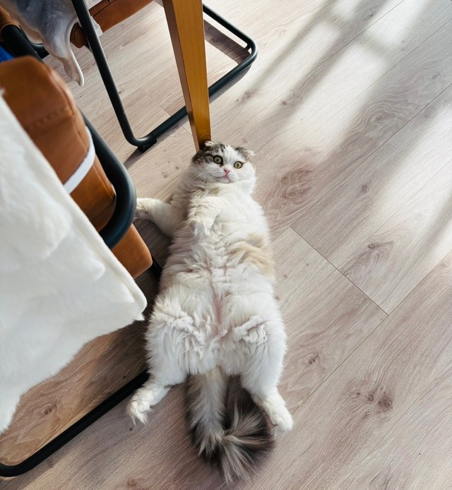 夫婦の潤滑油だという