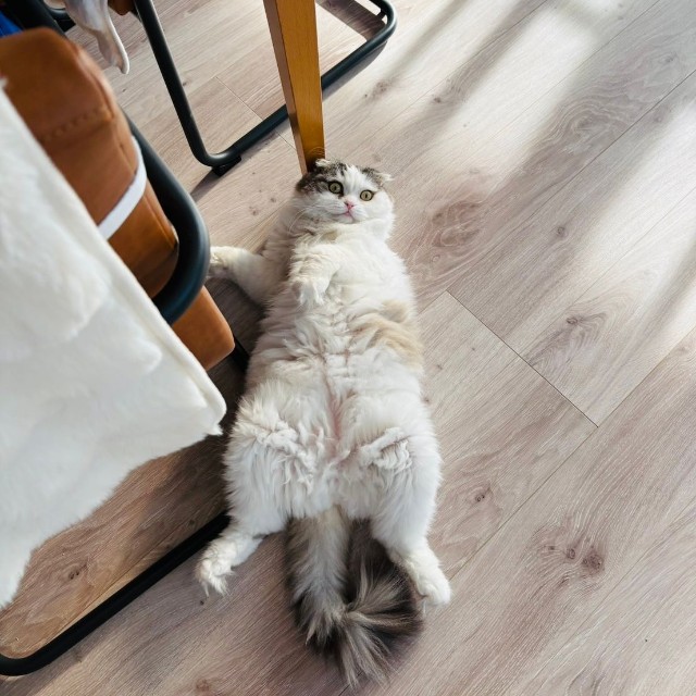 夫婦の潤滑油だという