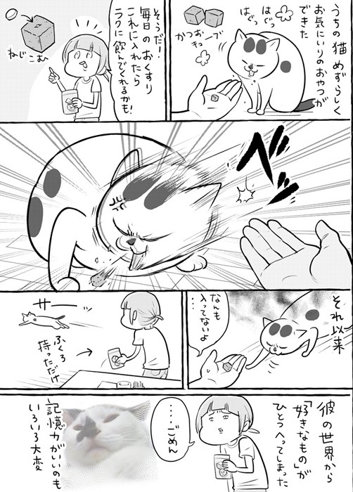 漫画「犬と猫どっちも飼ってると、おくすり難易度が雲泥の差」（提供：松本ひで吉さん）