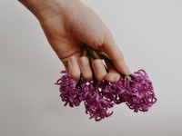 「また連絡するね」卒業式で、確かにそう言い合って別れたはずだった