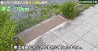 施工直後から大きな変色は見られません／しかちゃんねる【庭づくりDIY】さん（@しかちゃんねる-b4d）提供