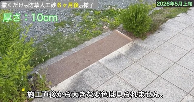 施工直後から大きな変色は見られません／しかちゃんねる【庭づくりDIY】さん（@しかちゃんねる-b4d）提供