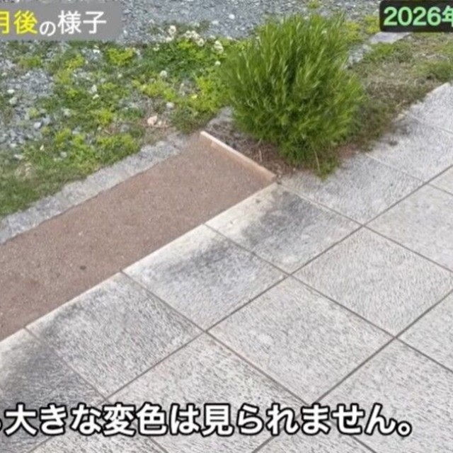 施工直後から大きな変色は見られません／しかちゃんねる【庭づくりDIY】さん（@しかちゃんねる-b4d）提供