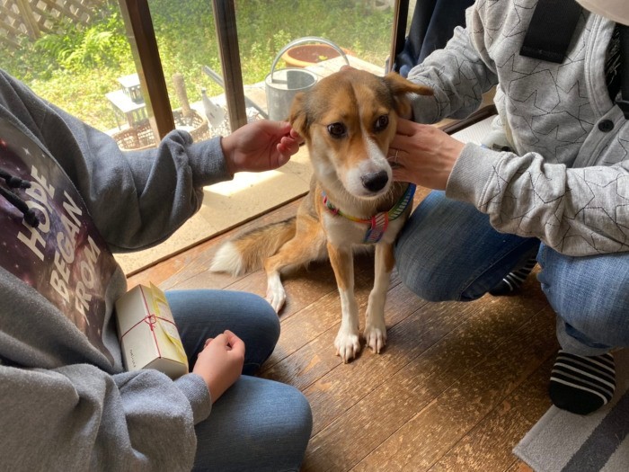 ４月21日、ボランティアさんが連れてきてくれて、「うちの子」になりました（甲田さん提供）