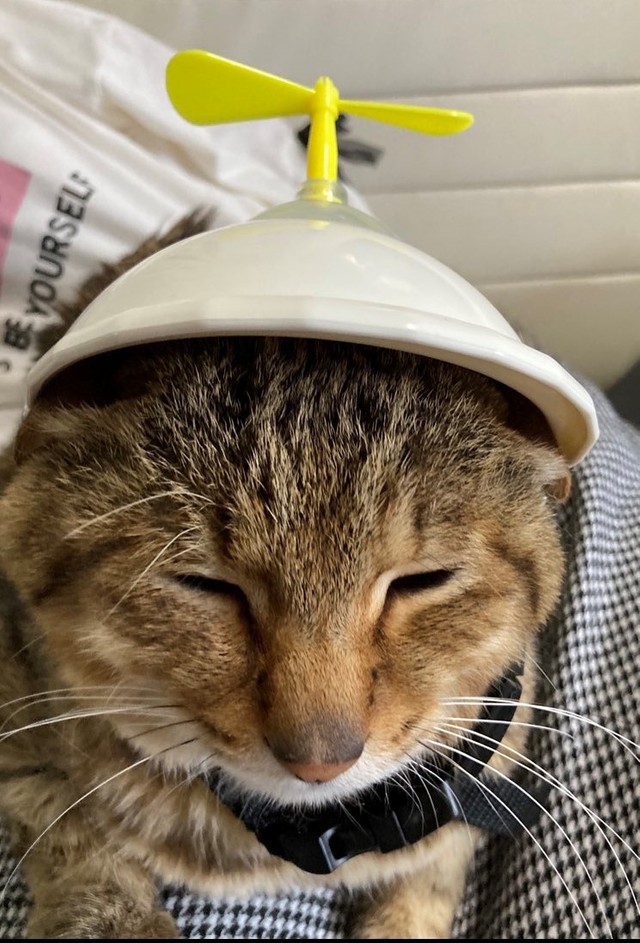 ついに、テツはタケコプターを手に入れた！