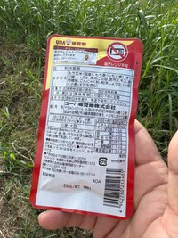 （山葵さん提供）