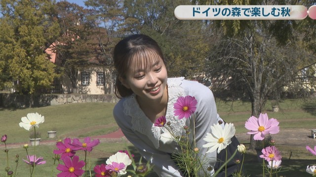 篠原茉那アナウンサー