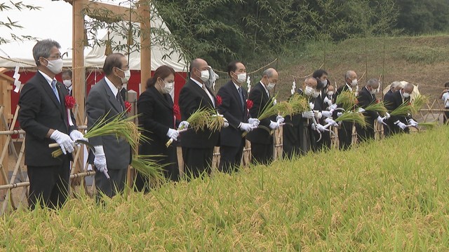 新嘗祭に収める米　香川・綾川町で稲刈り