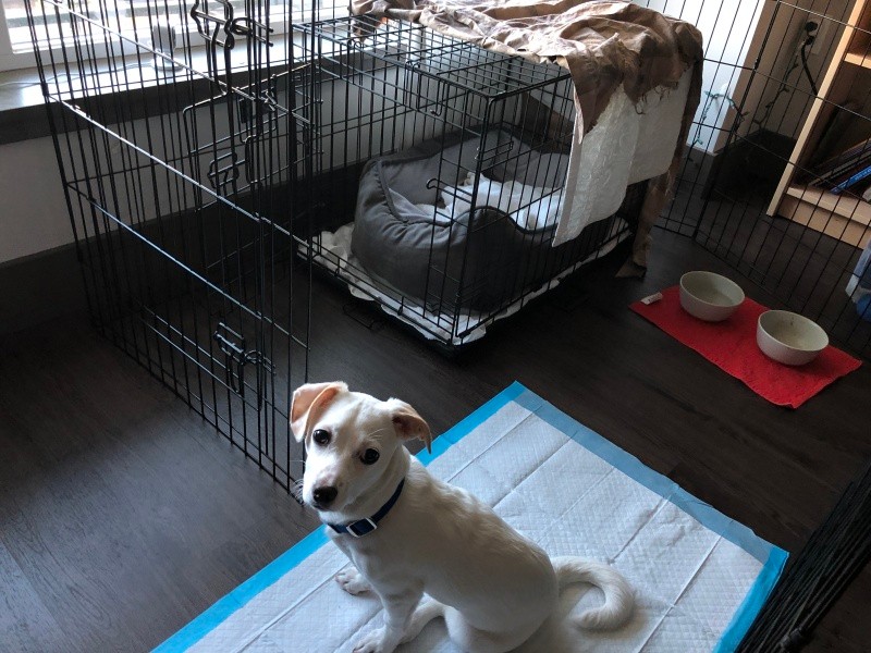 クレートなども全て支給されるそう