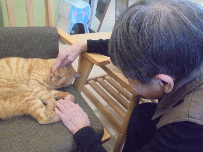 「かわいいねえ」（入間東幸楽園提供）