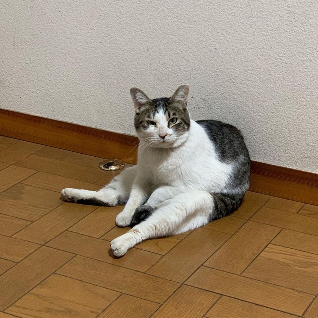 おっさん座り、話題沸騰