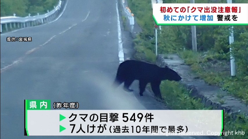 クマの目撃相次ぐ宮城県にクマ出没注意報 秋にかけて出没増加か Khb東日本放送