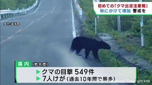 クマの目撃相次ぐ宮城県にクマ出没注意報　秋にかけて出没増加か