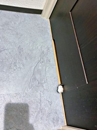 トイレのドアからなのちゃんの手がーー（画像提供：むいとなのさん）