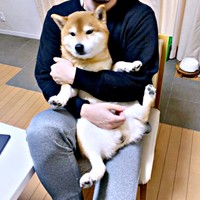 パパに抱っこされてまったり過ごすこたろうくん（画像提供：こたろうくん）