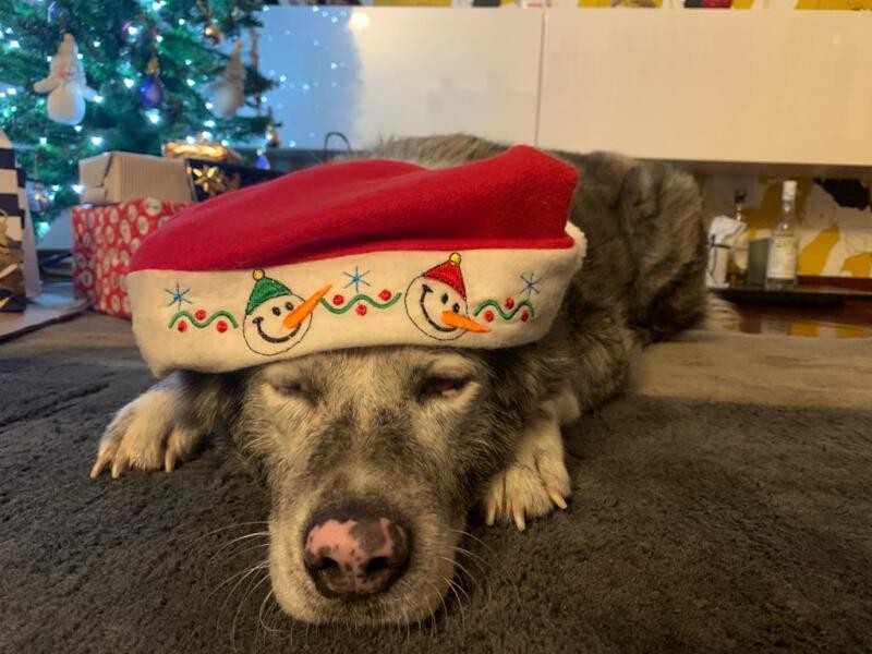 「クリスマスってなに～」