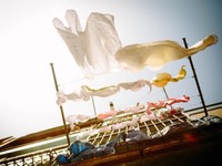 「家事」って最強。暮らしの本質を知って、稼ぐことへの不安が消えた