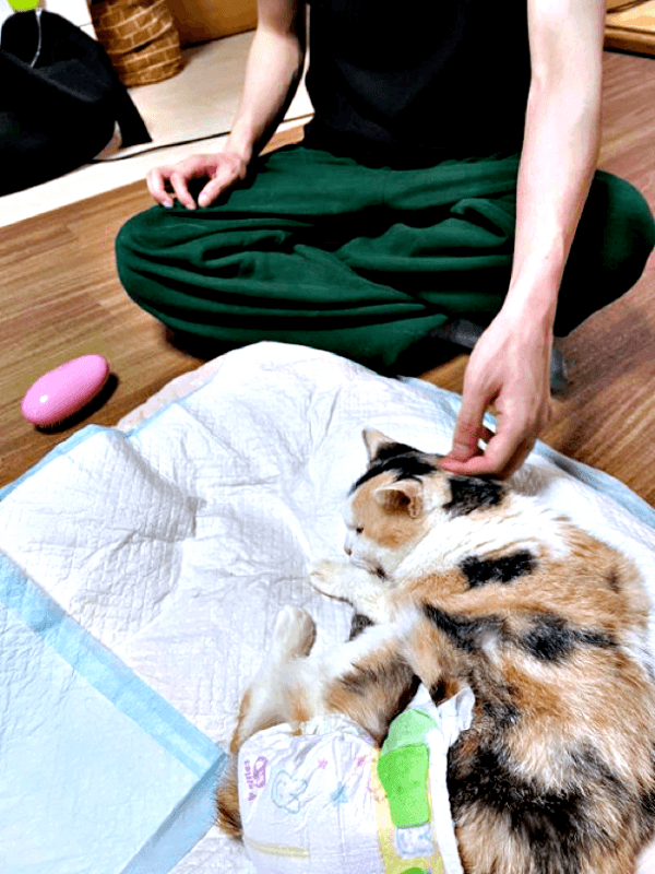 ウララちゃんに会うために帰宅した息子さん（画像提供：リキペペさん）