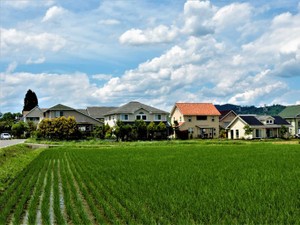 農地の相続3 「市街化区域」にある農地なら、届け出をすれば売却も可能に
