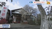 合格梅花堂(香川・綾川町)
