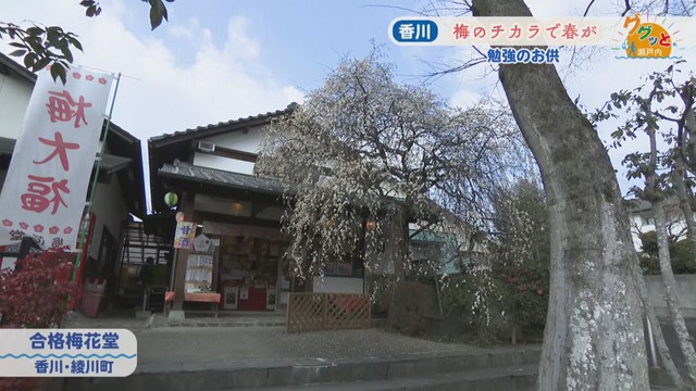 合格梅花堂(香川・綾川町)