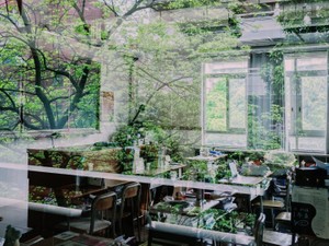 お弁当に誘ってくれた彼女たちは、陰キャの私の「壁」も破ってくれた