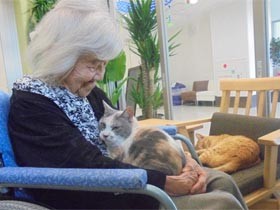 老人ホームの一室で暮らす３匹の保護猫たち　入居者を癒やし会話のきっかけにも