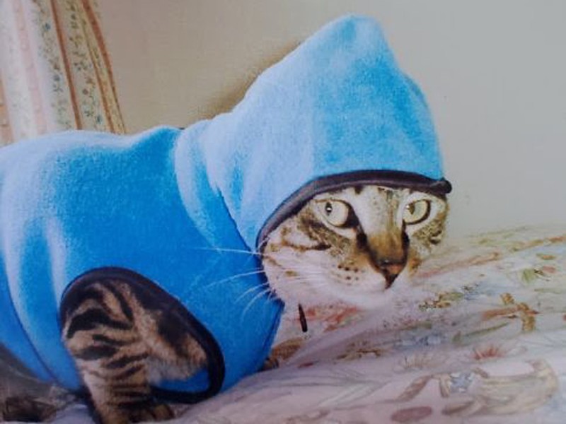 「ルナだＹＯ、はっぴーじゃないＹＯ～」