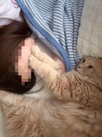 まったく悪意のない表情の愛猫「つきみ」くん／つきみねこさん（@____tukimineko）提供