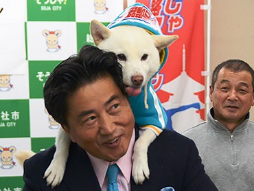 おんぶで自転車、柴犬の太郎がマラソン大会のマスコット犬に