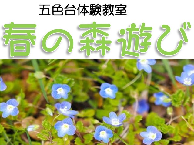 森を歩いて春をみつけよう！五色台ビジターセンター　香川