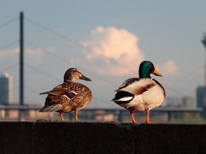 好きな人を見つめていると、自分の「人生」が不安になる
