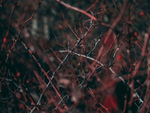 コンプレックスをポジティブ変換してきた私が唯一どうにもできない生理痛