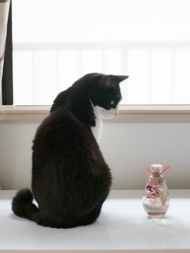 「君、両手上げてるけど、そんなに楽しいんだ」（小林写函撮影）
