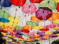 普通過ぎる名前に勝てない普遍的な私、そして増えていくあだ名