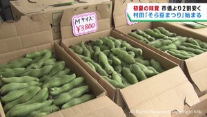 宮城・村田町で恒例そら豆まつり　市価より２割ほど安く販売