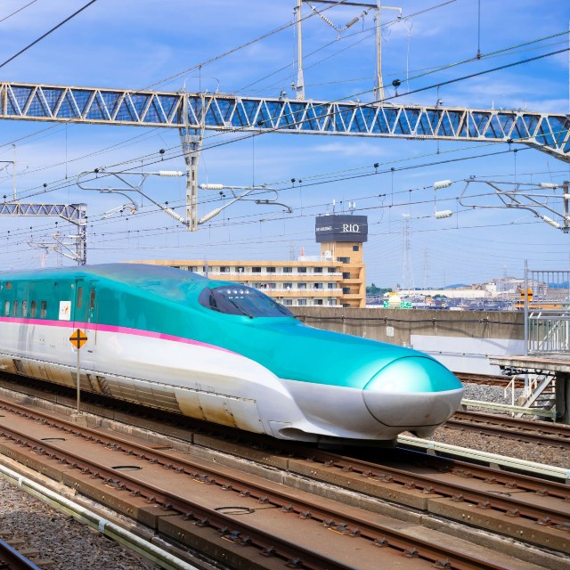 JR東日本では状況により立席特急券を販売する(oka/stock.adobe.com)