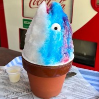 藤枝市陶芸センター名物「かつおのあたま」（藤枝市陶芸センター提供）