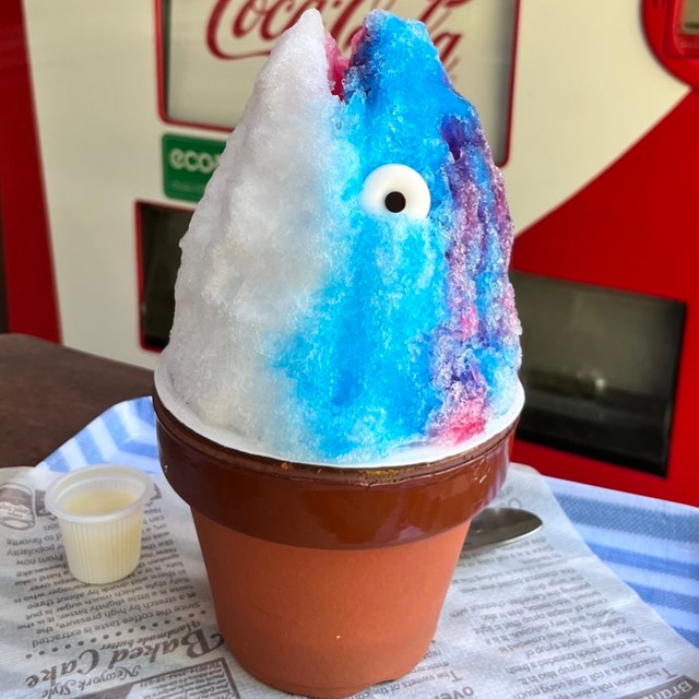 藤枝市陶芸センター名物「かつおのあたま」（藤枝市陶芸センター提供）