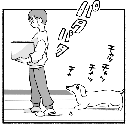 ご主人様についていきたいワン！（提供画像）