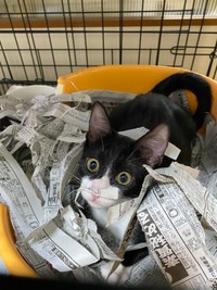 たくさん遊んで大満足？（提供：レナさん）