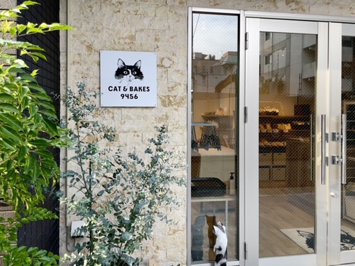 CAT & BAKES 9456