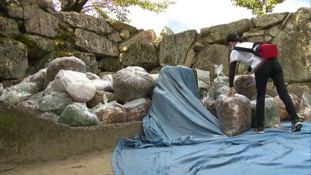 秋の観光シーズンに備えて岡山城で330人が清掃活動　岡山市