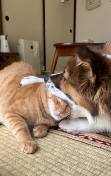 大好きすぎてたべちゃいます（直美さん提供、Instagramよりキャプチャ撮影）